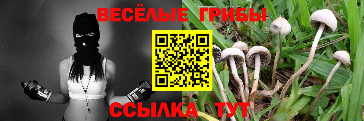 Псилоцибиновые грибы прущие грибы Снежинск