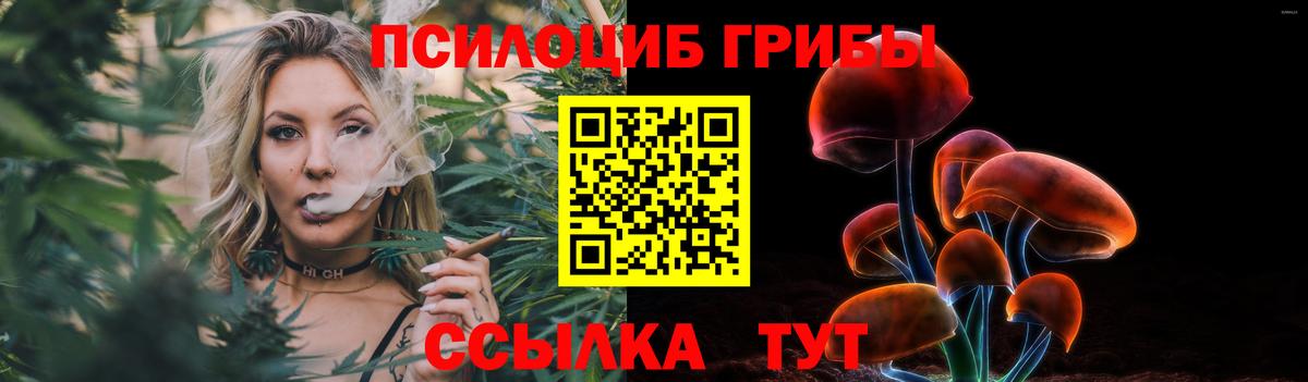 Снежинск  Псилоцибиновые грибы ЛСД  Вход с VPN  Псилоцибиновые грибы Psilocybine cubensis 